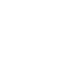 Modanzy